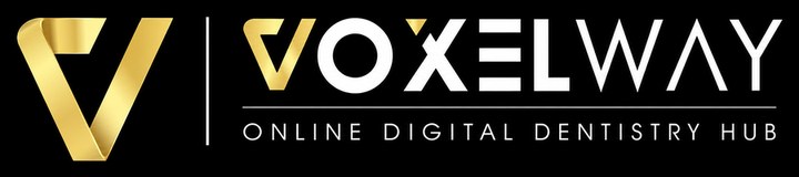 Voxelway